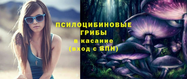 прущий лед Армянск