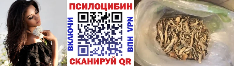 Псилоцибиновые грибы MAGIC MUSHROOMS  KRAKEN   Нефтекумск 